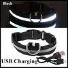 USB Rechargeable LED Dog Collar — Night Safety Glow